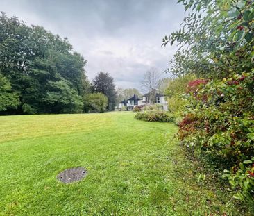 Charming Villa in Onex - 4 bedrooms - 2 terraces and wooded park - Photo 5