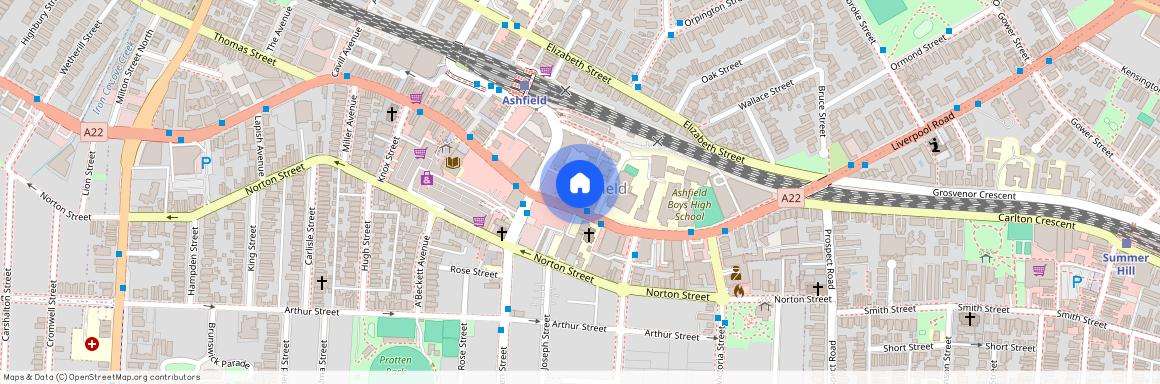 193 Liverpool Rd Ashfield, Sydney, New South Wales 2131