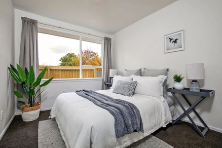 Pet Friendly Home - Photo 4