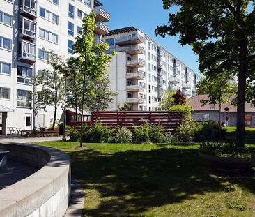 Muskotgatan 17 . - Foto 1