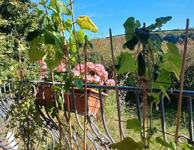 Wohnung nähe Hanau zu vermieten/Mieszkanie pracownicze - Foto 1