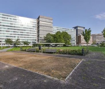 Bos en Lommerplantsoen 1055 Amsterdam - Foto 3