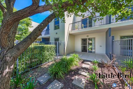 Modern Ground Floor Apartment - Photo 2