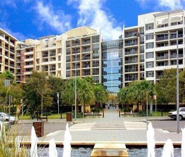 204/806 Bourke Street, Waterloo NSW 2017 - Apartment For Rent | Domain - Photo 2