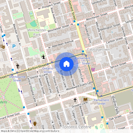 215-217 Carlton Street Unit# Unit 1, Toronto