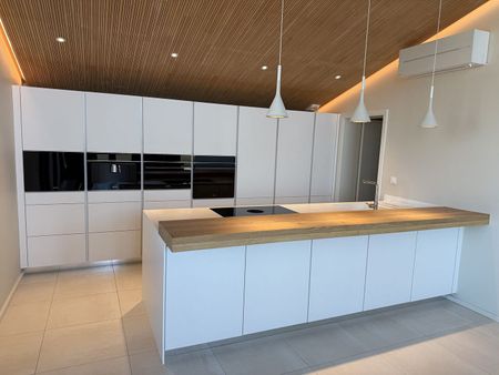Location Appartement 5 pièces 168m² STRASBOURG 67000 - Photo 5