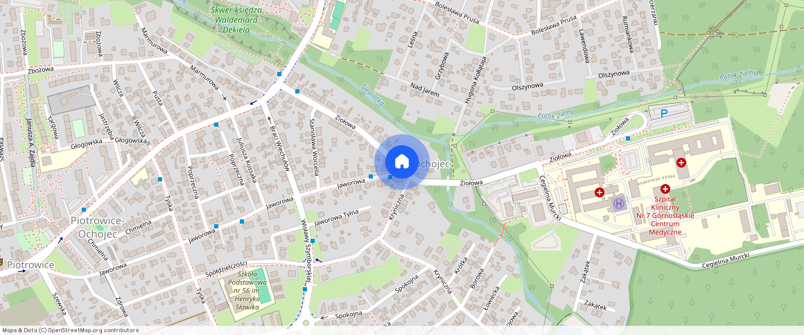 Katowice Ochojec, Ziołowa