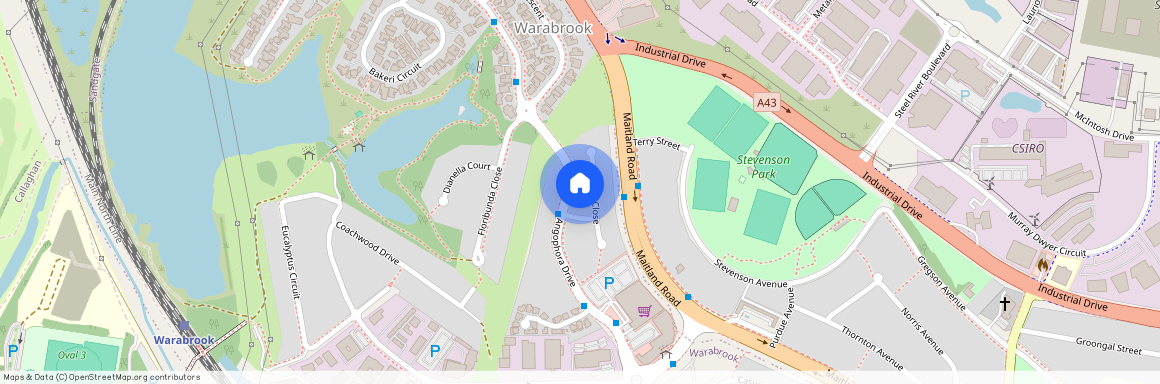 10 Cassia Close, Warabrook NSW 2304