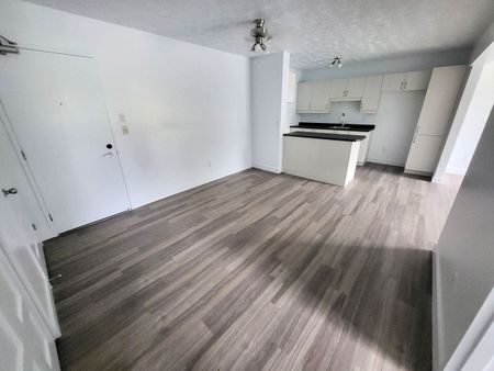 Appartement 4 ½ rénové à louer – Sherbrooke, Secteur Université & Mont-Bellevue - Photo 3