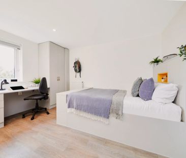 Premium Studio - Photo 1