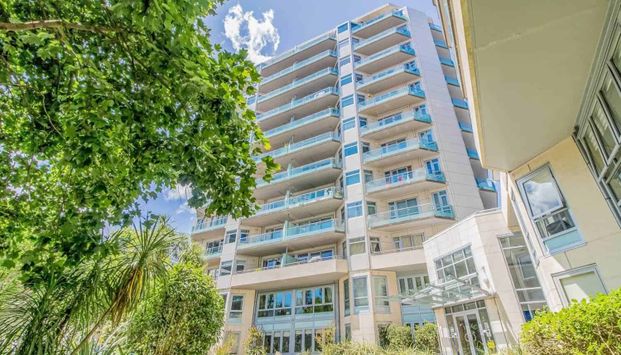 Recently Renovated Apartment - Photo 1