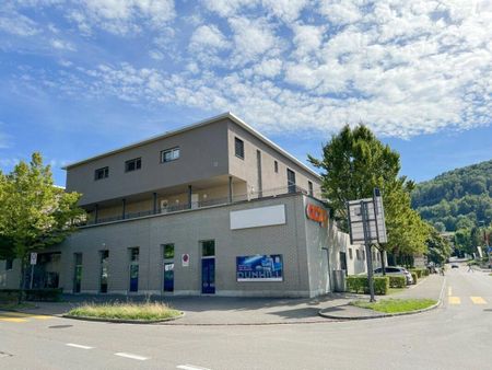 Traumhafte Wohnung im Eigentumsstandard - Foto 3