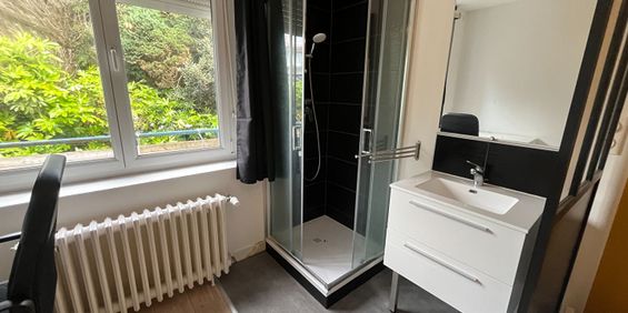 Location maison 8 pièces, 16.00m², Brest - Photo 3