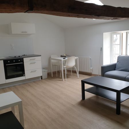POITIERS QUARTIER MONTIERNEUF: T2 de 32m² meublé - Photo 4