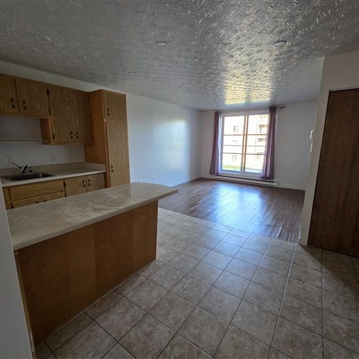 2020-204 (vacant) rue Gauthier Grand 3½ Sherbrooke J1H 6A5 - Photo 1