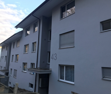 Charmante 3-Zimmer-Dachwohnung in Olten zu vermieten - Photo 4