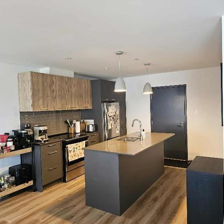 Grand 4 1/2 à Laval, 2 salles de bains, à 2 pas du métro Montmorency - Photo 3