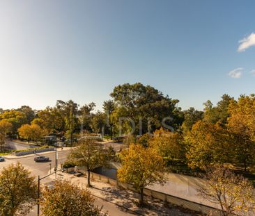 Apartamento T1 para arrendamento no Campo Grande, Lisboa - Photo 6