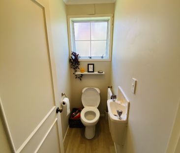 Property Management19B Bracken Avenue, Takapuna - House for Rent - Photo 2