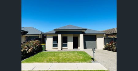 What A Beauty! - Photo 4