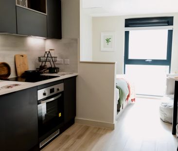 Penthouse Deluxe Studio - Photo 3