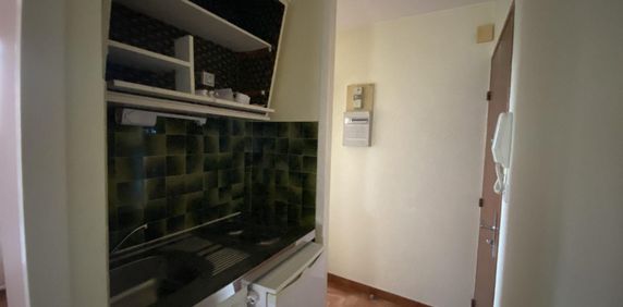 Location Appartement 1 pièce 21m² TOURNON SUR RHONE 07300 - Photo 2