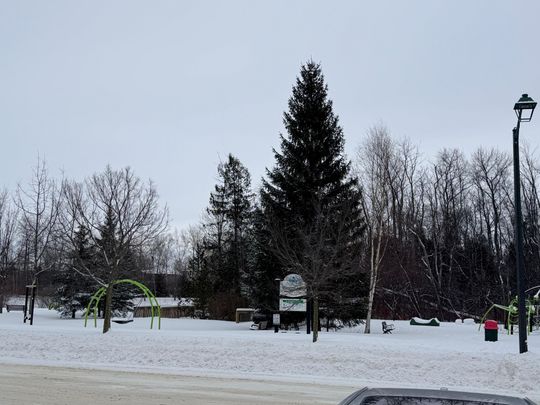 For Lease - 195 Collins Street, Collingwood, Ontario - Photo 1