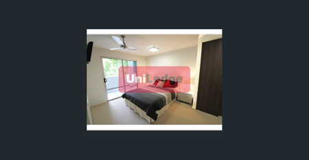 1 Bedroom in a 2 bedroom apartment, available now - Photo 5