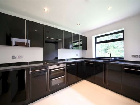 Exceptional contemporary home with substantial living space and stunning views - Photo 4
