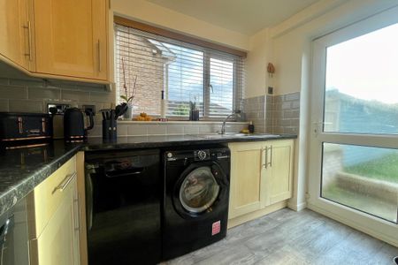 Daisy Hill Avenue - Photo 4