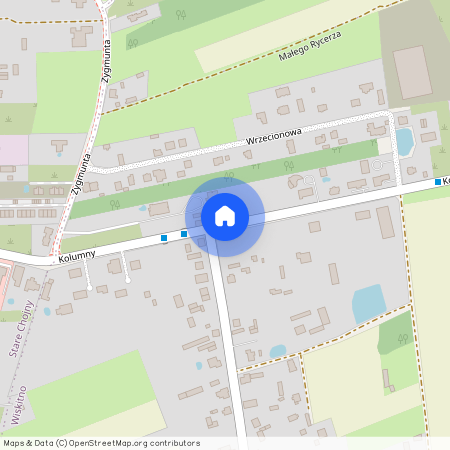 ul. Kolumny, Wiskitno, Górna, Łódź, łódzkie