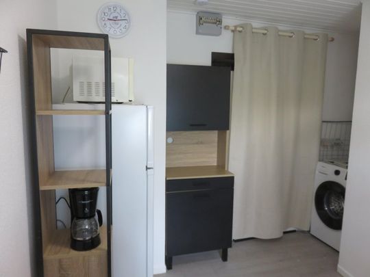 Location / Appartement T1 bis - Photo 1