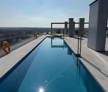 Calle de Ilustración, Madrid, Community of Madrid 28008 - Photo 3