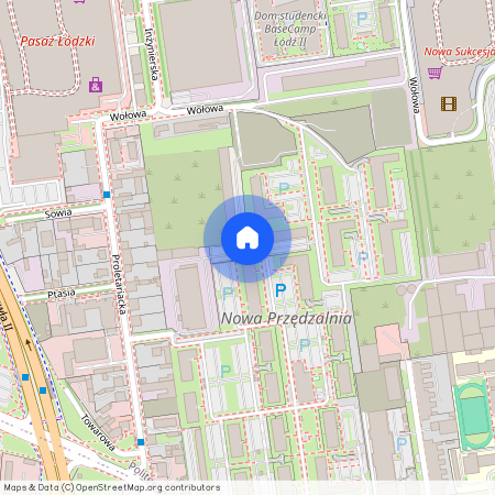 ul. Walerego Wróblewskiego, Politechniczna, Polesie, Łódź, łódzkie