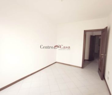 Grazioso tricolare in contesto di corte. - Photo 5