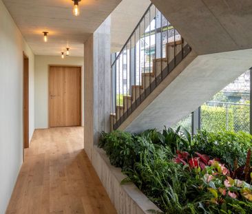 8048 Zürich - Foto 4