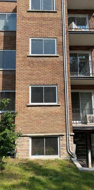 1 CH - 1 SDB - Montréal - $1,290 /mo - Photo 1