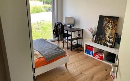 Wohnung in Hitzkirch - Foto 2