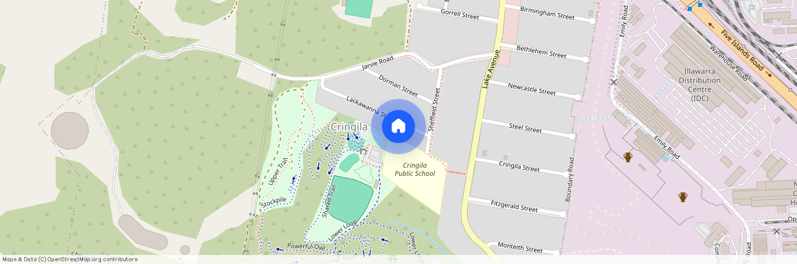 13A Lackawanna Street, NSW 2502, Cringila