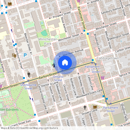 208 Carlton Street Unit# Main, Toronto