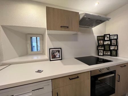 Very nice renovated duplex located between the castle and the botanical garden - Photo 5