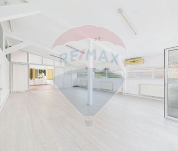 Spatiu comercial de inchiriat bussiness 100mp2 ultracentral - Photo 5