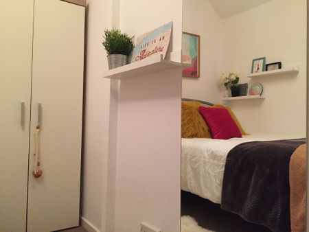 Central Location - All Female House - Photo 3