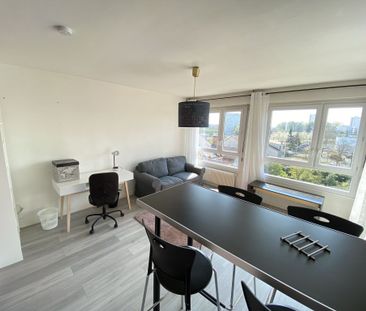 Location Appartement 1 pièce 36m² - Photo 3