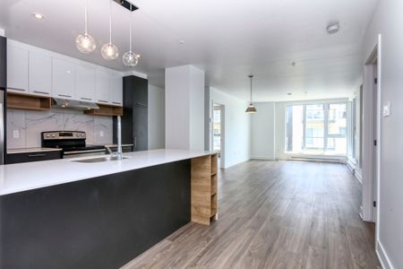 9675 Av. Papineau - Photo 2