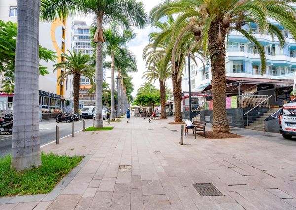 Alquiler de Temporada de Estudio en Puerto de La Cruz – 0067-04554