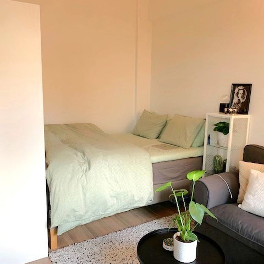 Studio - for rent - Photo 1