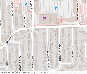Large Upper in Central Abbotsford - Unit UPPER - Photo 1