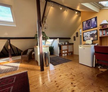 Large, sunny and private ensuite Attic Studio with kitchenette, nea... - Photo 3