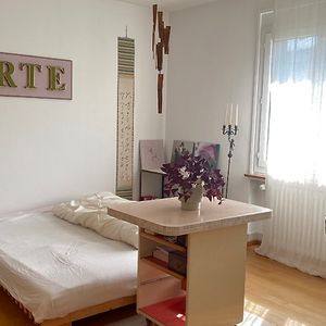 2½ Zimmer-Wohnung in Liebefeld (BE), möbliert, auf Zeit - Photo 2